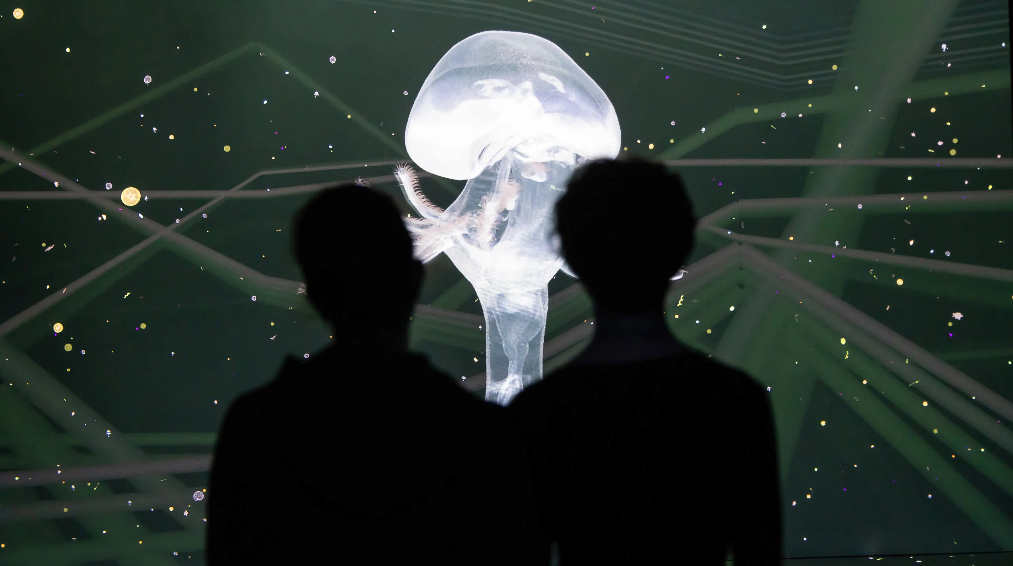 31. Noise Aquarium, Victoria Vesna_result.webp